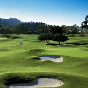 10 Best Southern California Courses for Beginners