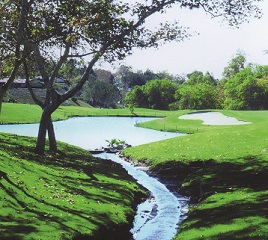 Oso Creek Golf Course Image Thumbnail