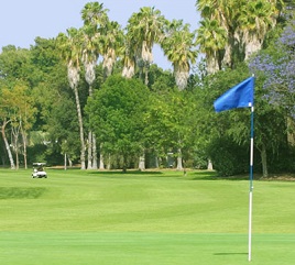 Anaheim Dad Miller Golf Club Image Thumbnail