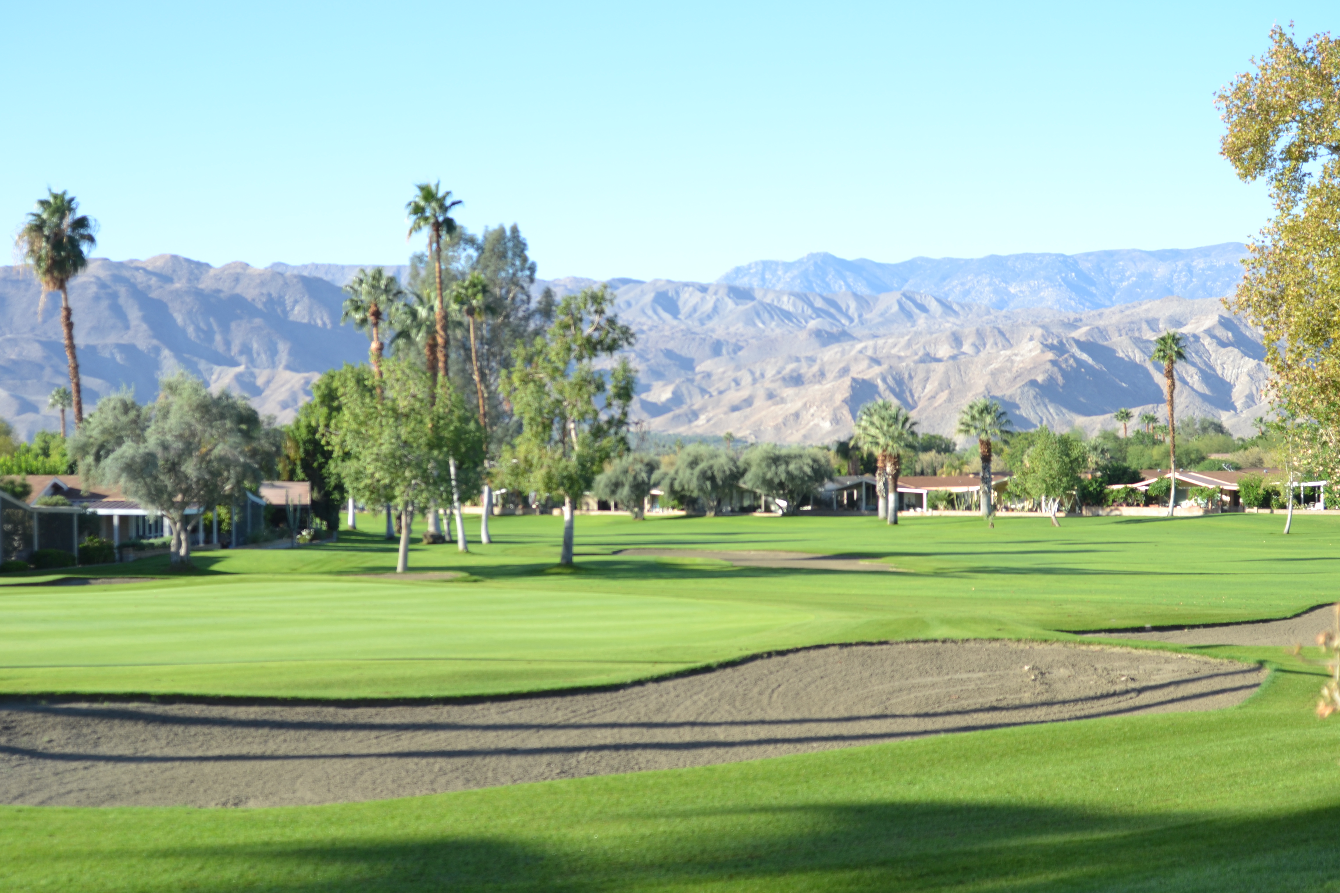 Suncrest Country Club, Palm Desert, California Golf course