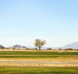 Desert Winds Combat Center Golf Course Image Thumbnail