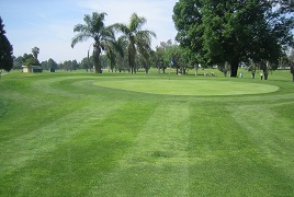 Paradise Knolls Golf Club Image Thumbnail