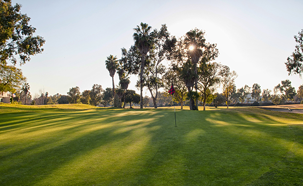 Courses SCGA Courses SCGA