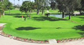 River View Golf Club Image Thumbnail