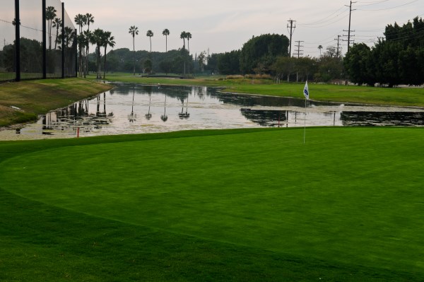 Courses | SCGA