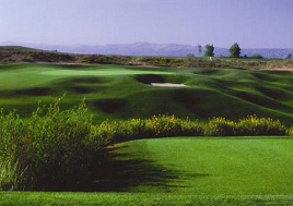 Black Gold Golf Club Image Thumbnail