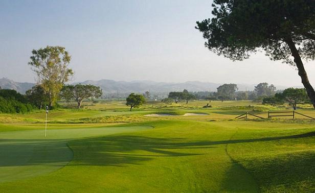 Olivas links-2