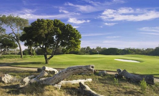 Courses SCGA Courses SCGA