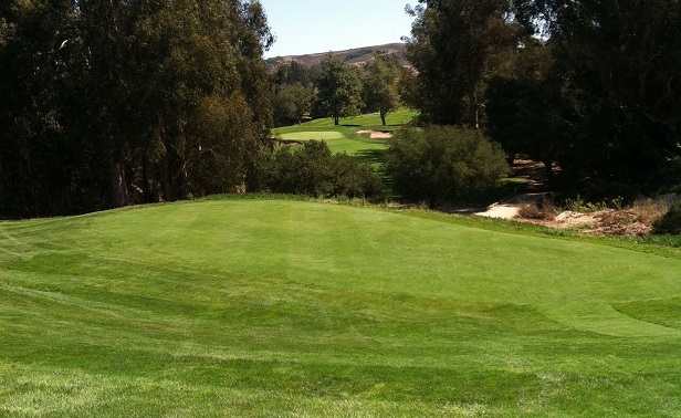 Courses SCGA