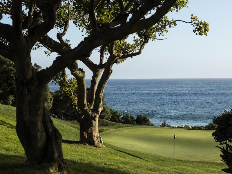 Monarch dunes green