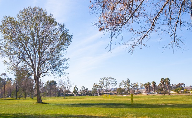 Courses SCGA Courses SCGA