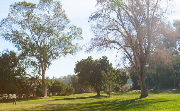 Courses SCGA Courses SCGA