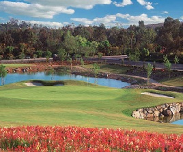 Reidy Creek Golf Course Image Thumbnail