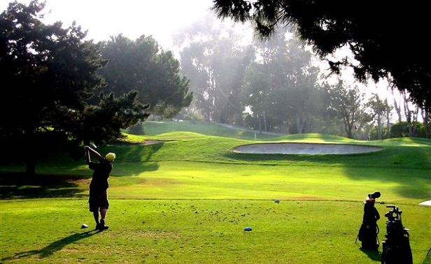 Courses SCGA Courses SCGA