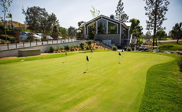 Executive course putting green small