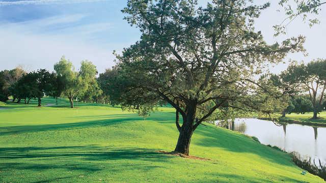 Oaks north2