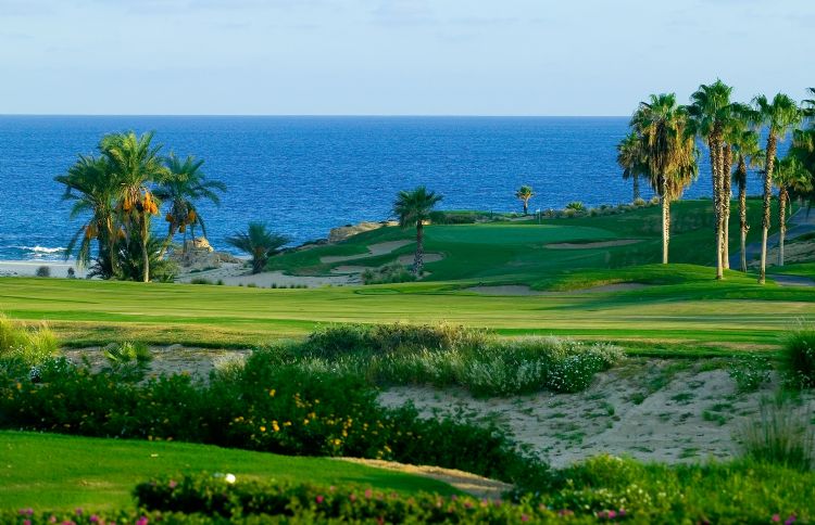 Cabo Real Golf Course Image Thumbnail