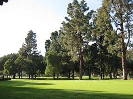 Penmar Golf Course Image Thumbnail