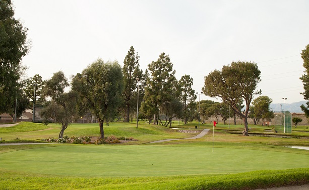 Courses SCGA Courses SCGA