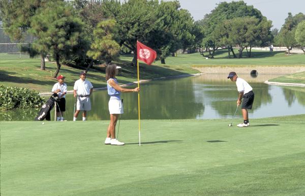 Iron wood nine golf course Clearance