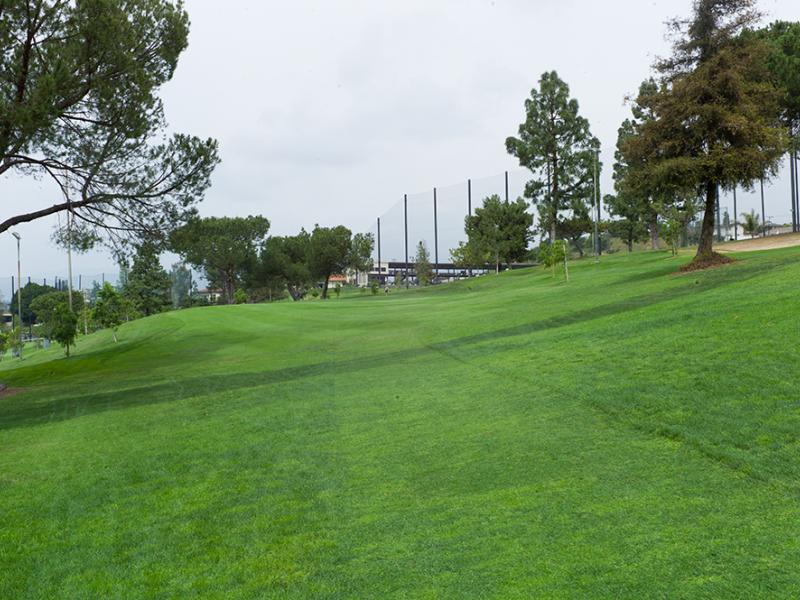 Monterey park - hole 6