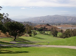 Palm Lake Golf Course Image Thumbnail