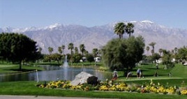 Outdoor Resort Palm Springs Image Thumbnail