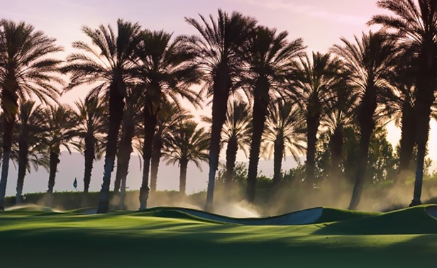 The Plantation Golf Club Image Thumbnail