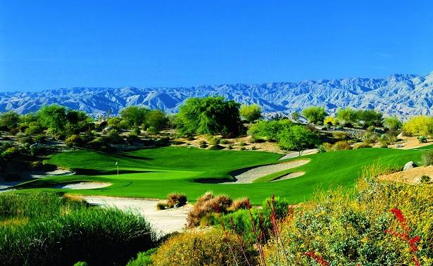 Desert willow-2