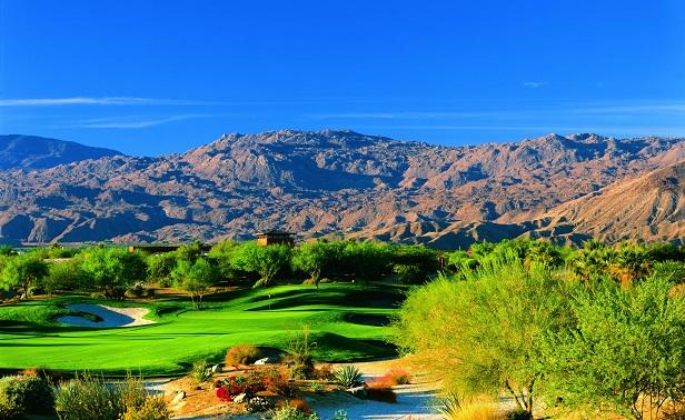 Desert willow 2