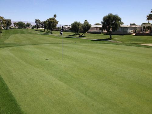 Palm desert greens2