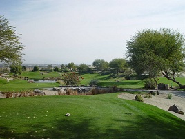 Palm Desert Greens Country Club Image Thumbnail